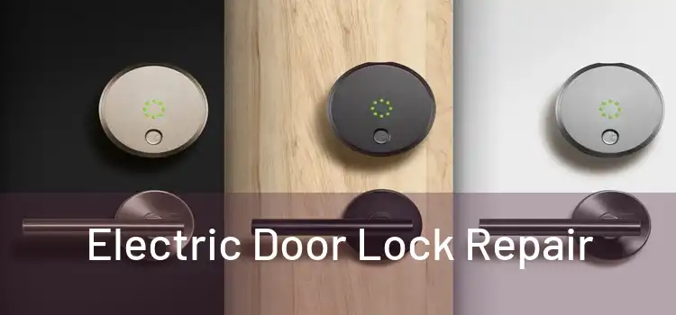 Electric Door Lock Repair